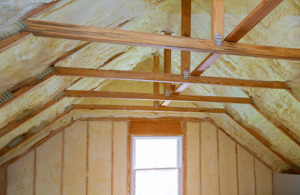 Professional Insulation Contractor in MS