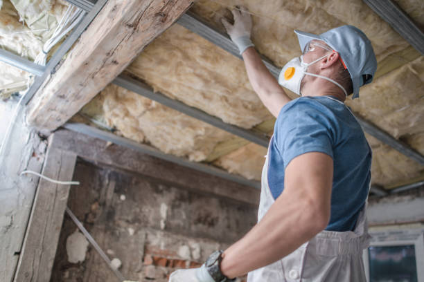 Best Residential Insulation in Pleasant Hill, MS