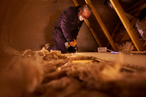 Best Types of Insulation in Pleasant Hill, MS